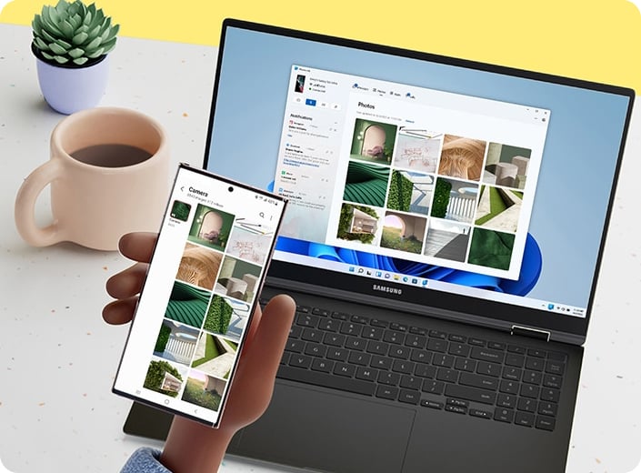 Links to Windows
